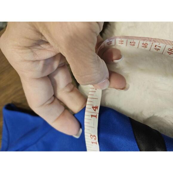 Nwt Guess Blue Bodycon Dress with Black Accents - XS - Picture 6 of 7